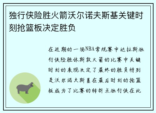 独行侠险胜火箭沃尔诺夫斯基关键时刻抢篮板决定胜负