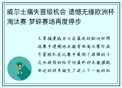 威尔士痛失晋级机会 遗憾无缘欧洲杯淘汰赛 梦碎赛场再度停步